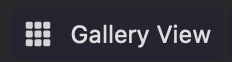Zoom Gallery View Toggle